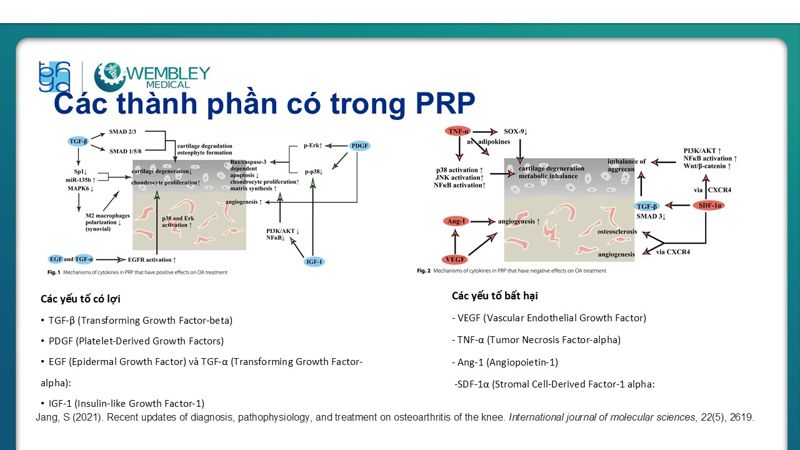 Bài báo cáo: Vai trò của PRP trong điều trị thoái hóa khớp