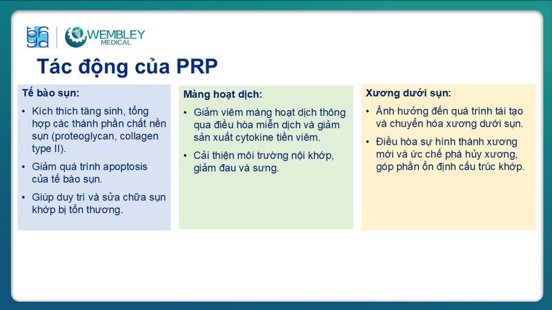 Bài báo cáo: Vai trò của PRP trong điều trị thoái hóa khớp
