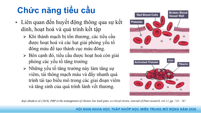 Presentation: Application of PRP in the Treatment of Tendinitis
