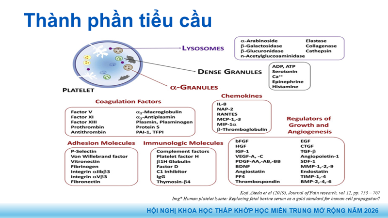 Presentation: Application of PRP in the Treatment of Tendinitis