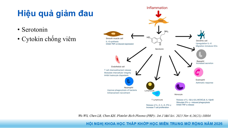 Presentation: Application of PRP in the Treatment of Tendinitis
